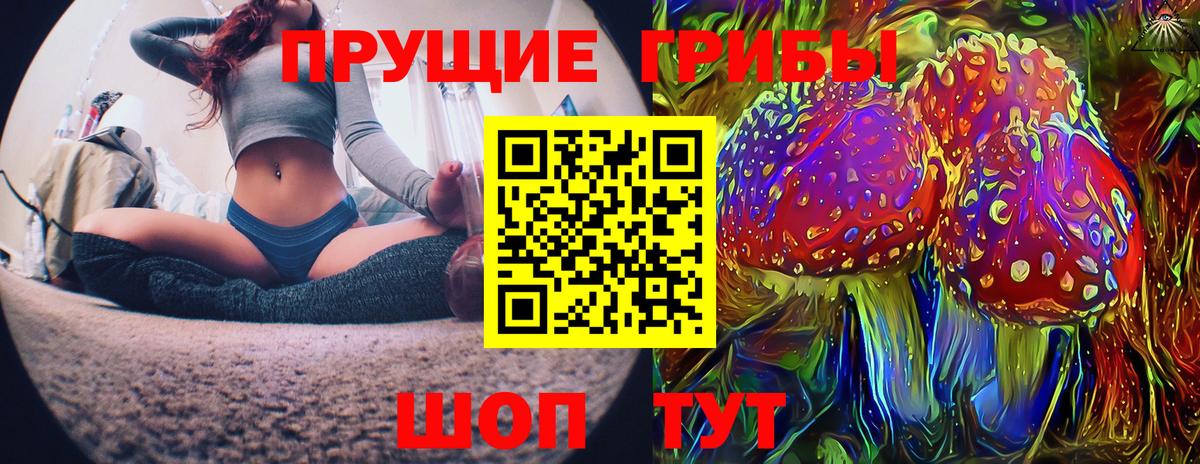 Галлюциногенные грибы GOLDEN TEACHER  Галлюциногенные грибы Cubensis  Вход с VPN  Ачхой-Мартан 